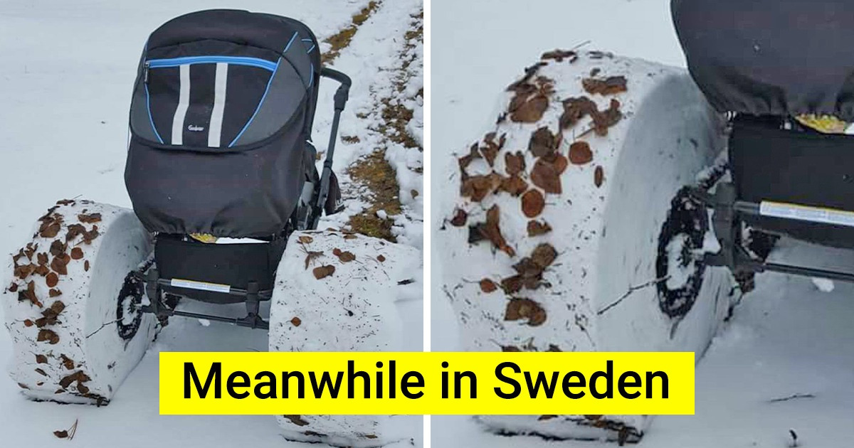 17 People Got Into Situations That Divided Their Day Into Before and After 17 People Got Into Situations That Divided Their Day Into Before and After