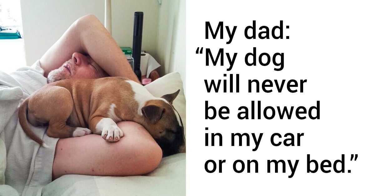 19 People Who Were Against Keeping Pets, but Can’t Live Without Them Now 19 People Who Were Against Keeping Pets, but Can’t Live Without Them Now