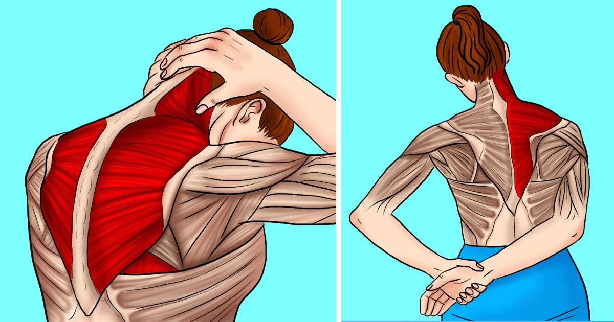 Exercises To Help Relieve Neck and Shoulder Tension 