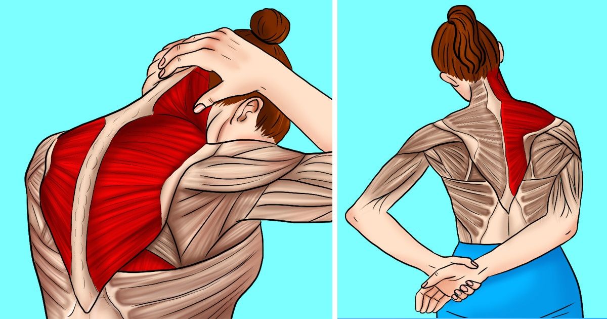 11 Stretches to Relieve Neck and Shoulder Tension / Bright Side