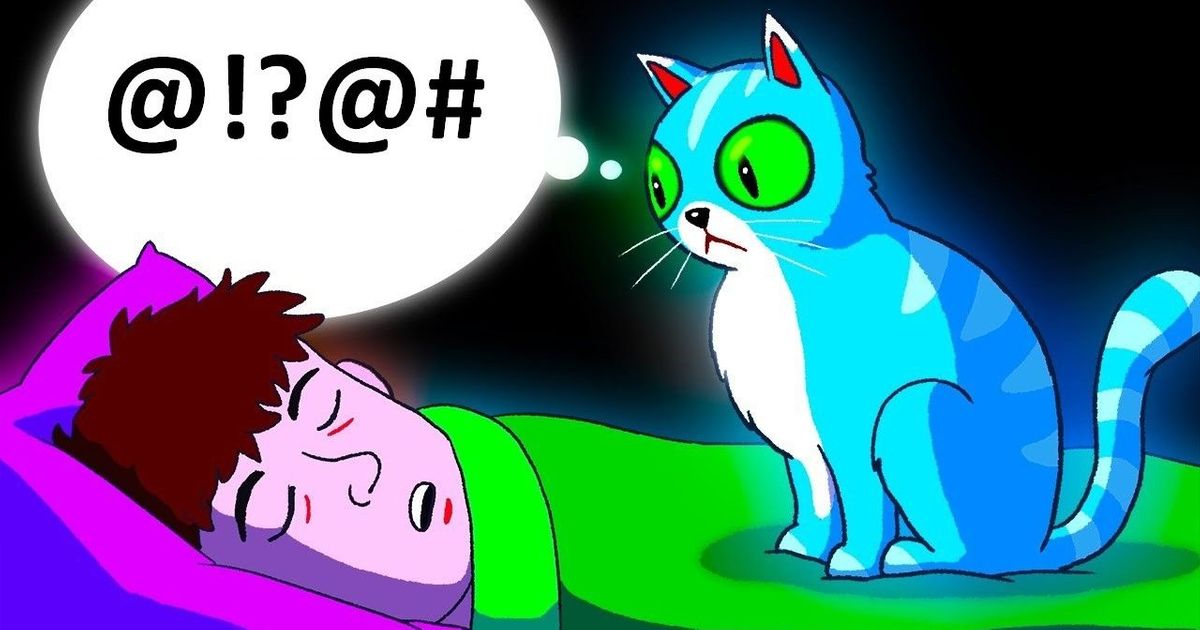 5 Things to Be Aware of When Letting Your Cat in Your Bed 5 Things to Be Aware of When Letting Your Cat in Your Bed