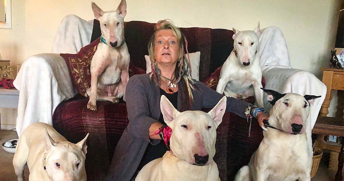 A Man Made His Wife Choose Between Her Dogs and Him, and She Stayed With the Dogs A Man Made His Wife Choose Between Her Dogs and Him, and She Stayed With the Dogs