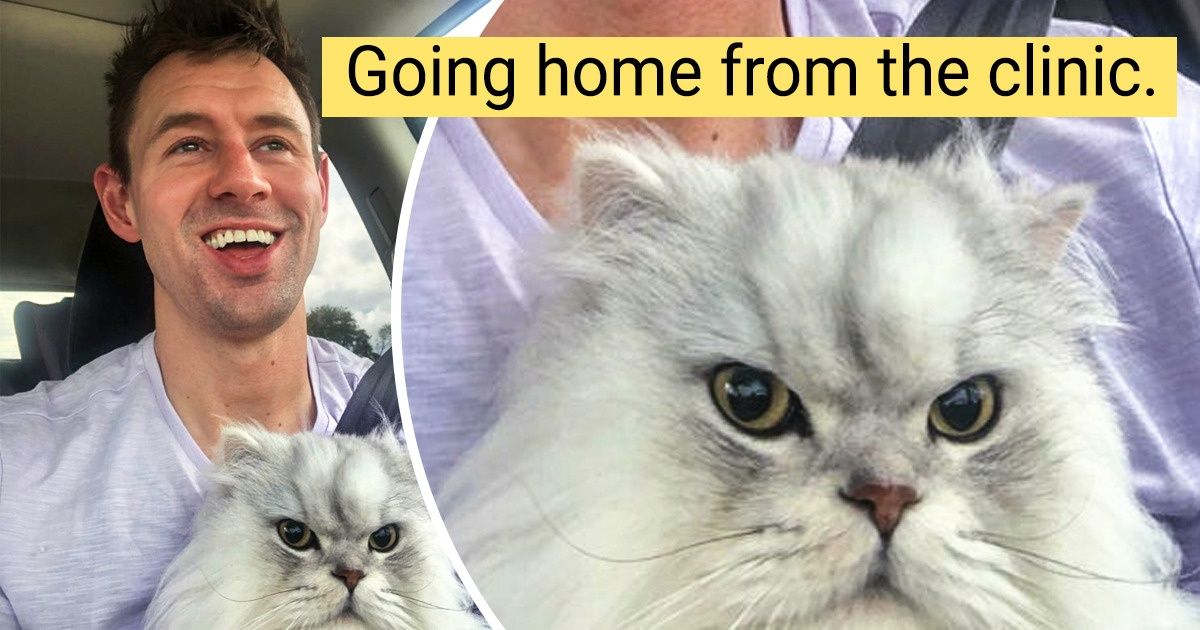 20+ People Whose Pets Will Remember Their Visits to the Vet Forever