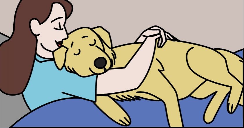 11 Ways Your Dog Says “I Love You” / Bright Side