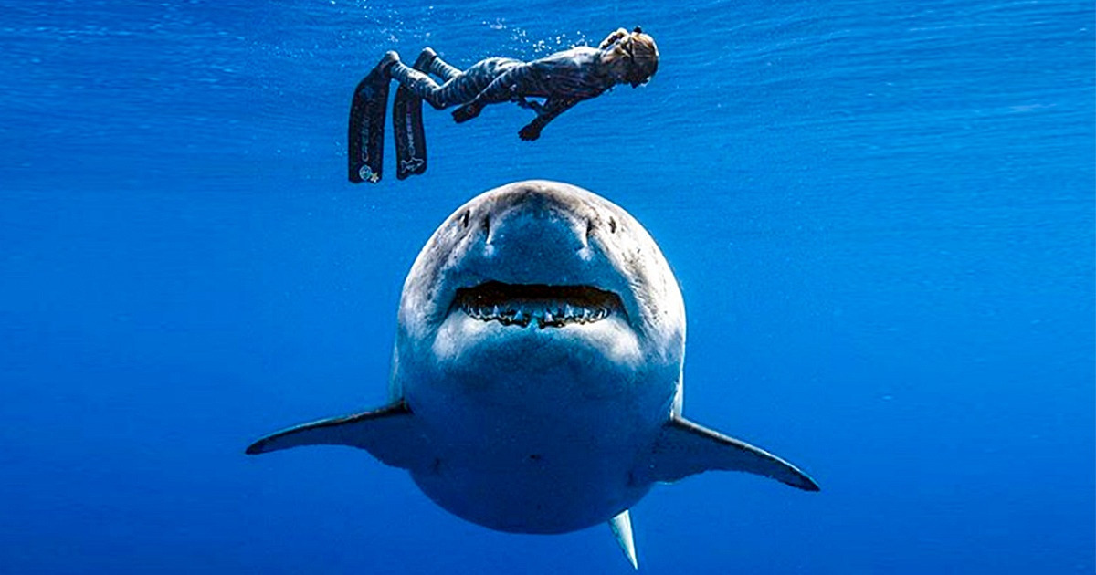 19 Real Life Moments We Thought We Could Only See In Movies
