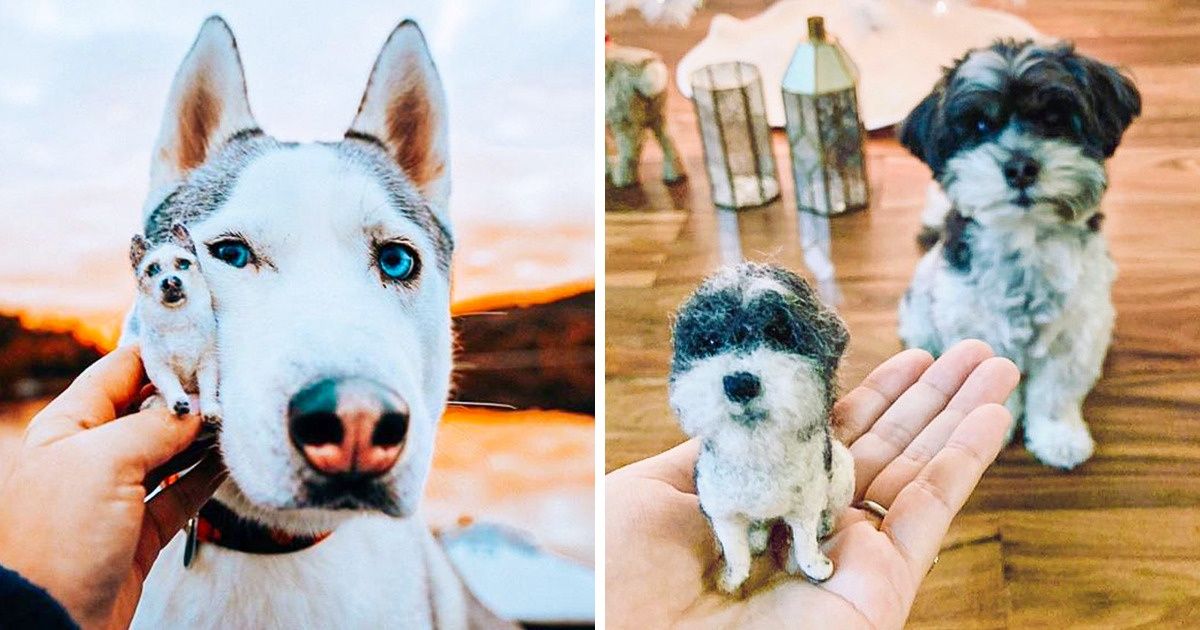 This Artist Makes Mini Pets Out of Wool and We Want to Boop Them All