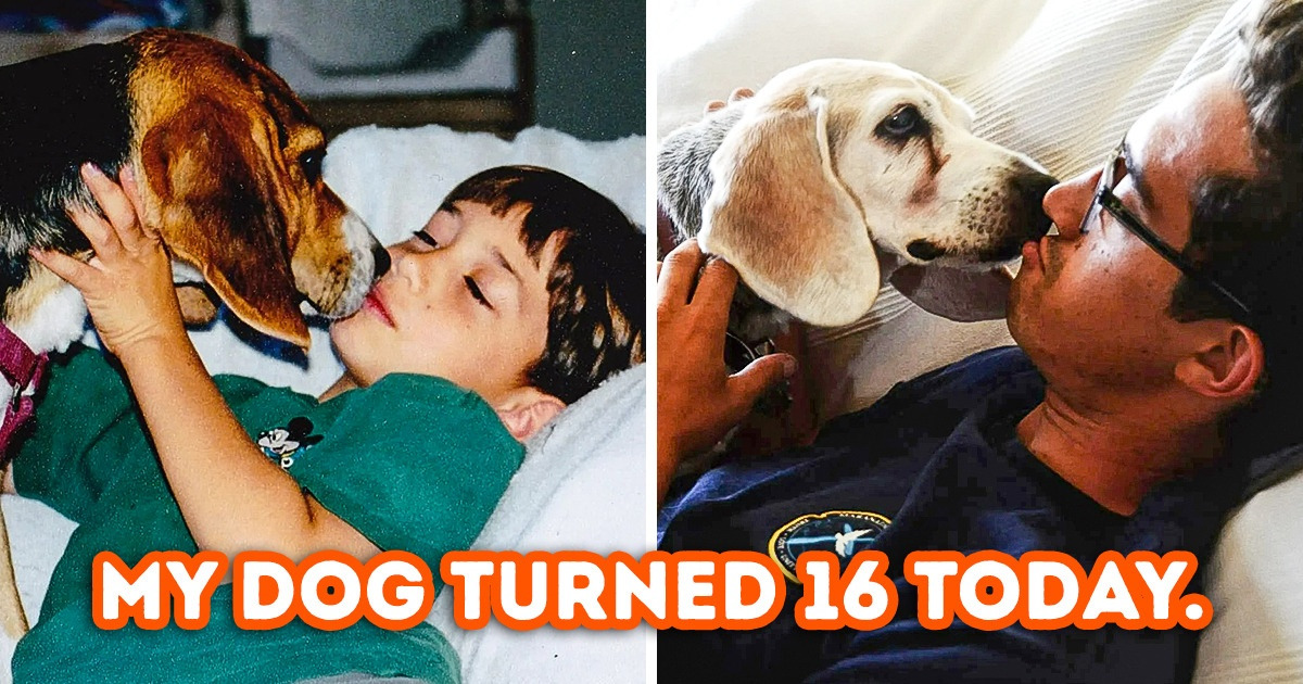 15 Photos That Let People Take a Trip Back to the Past