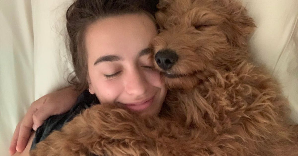 Having a Dog Can Make Your Heart Healthier, and Science Explains Why Having a Dog Can Make Your Heart Healthier, and Science Explains Why