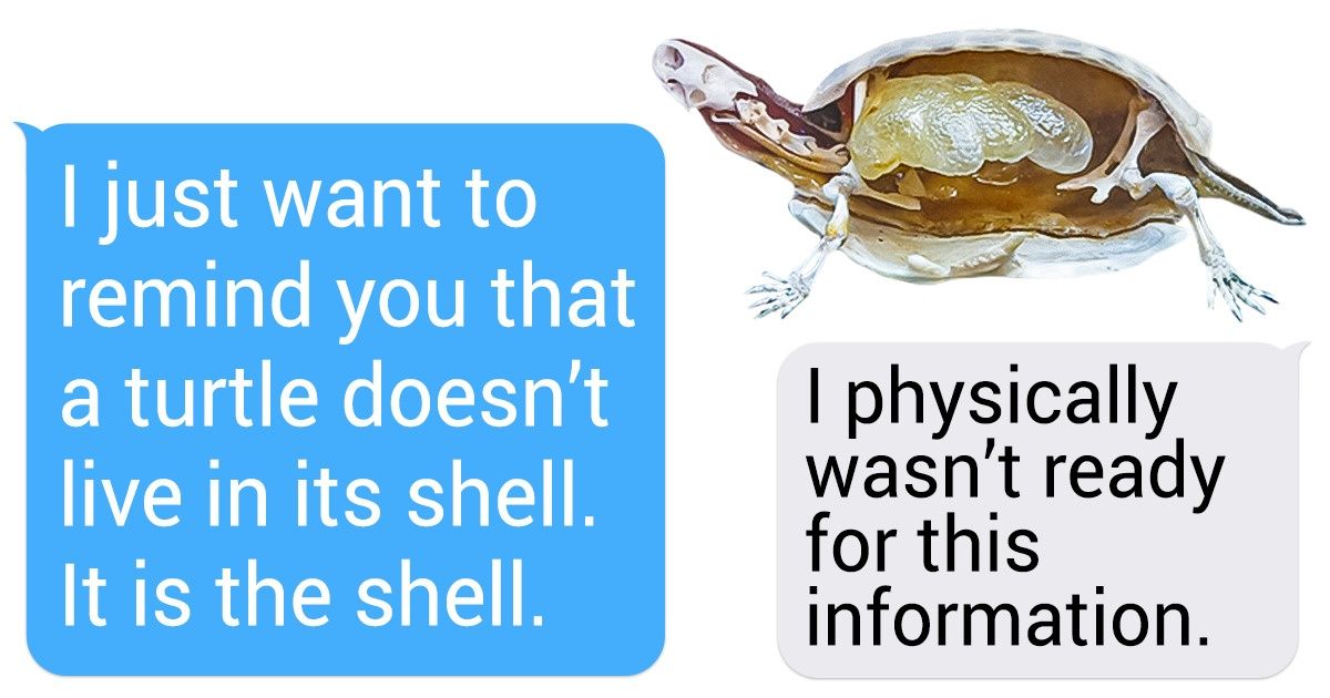 20+ Photos That Reveal the Little Secrets of Ordinary Things