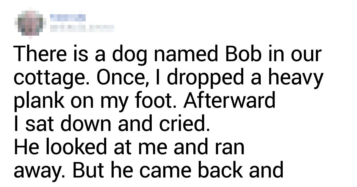 20+ Pets That Amazed Owners With Their Intelligence 20+ Pets That Amazed Owners With Their Intelligence