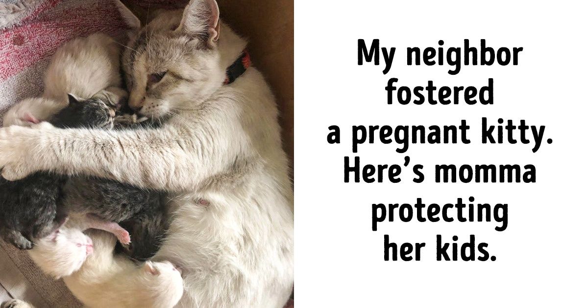 18 Heart-Melting Photos That Could Illustrate Love in a Picture Dictionary 18 Heart-Melting Photos That Could Illustrate Love in a Picture Dictionary