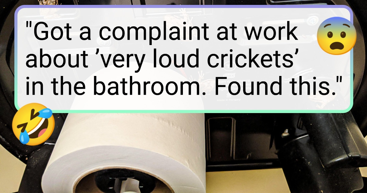 20 Bathrooms That Went From Being Boring to Stealing the Show in a Split Second