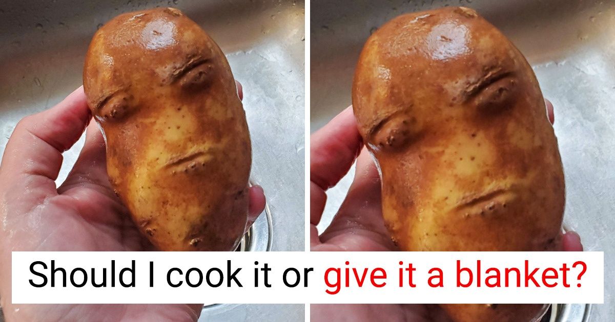 15 Sneaky Things That Look Totally Ambiguous 15 Sneaky Things That Look Totally Ambiguous