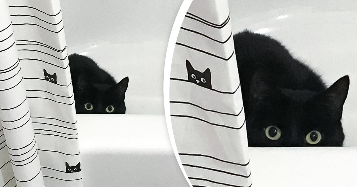 15 Cute Instances of Life Imitating Art That Will Add a Little Happiness to Your Day