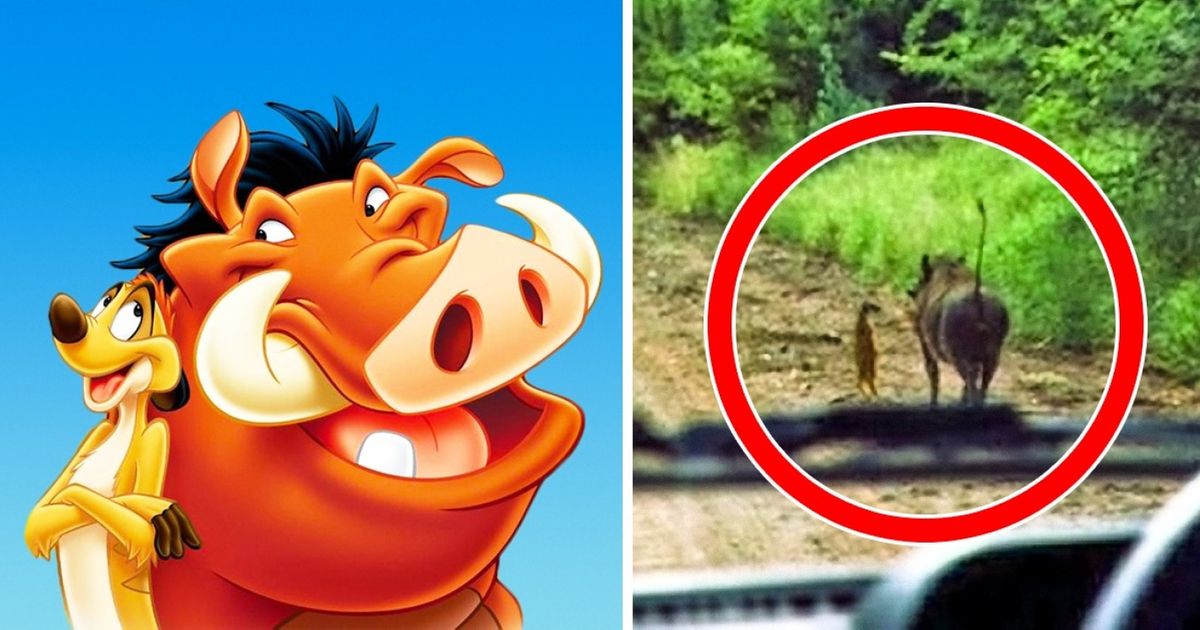 18 Pictures Showing That Disney Characters Would Fare Quite Well in Our World
