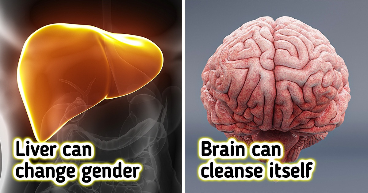 10 Facts About the Human Body That’ll Change Your Perception of Yourself 10 Facts About the Human Body That’ll Change Your Perception of Yourself