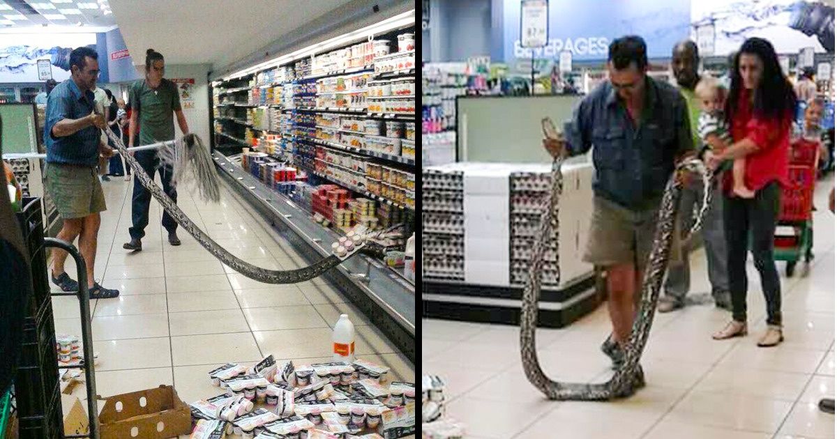 28 Pictures Proving That Absurdity Is Always Somewhere Around the Corner