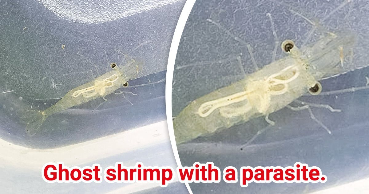 15+ People Shared Finds That Ended Up Being Stunning Discoveries 15+ People Shared Finds That Ended Up Being Stunning Discoveries