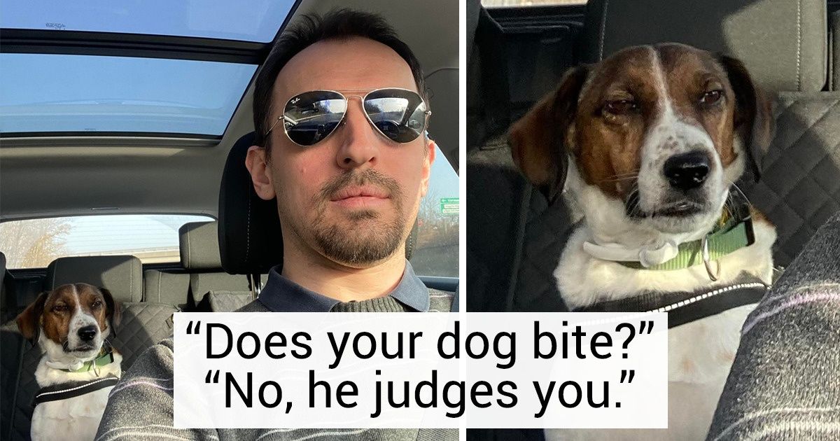 14 Animals Who Light Up Their Humans’ Lives With Charisma