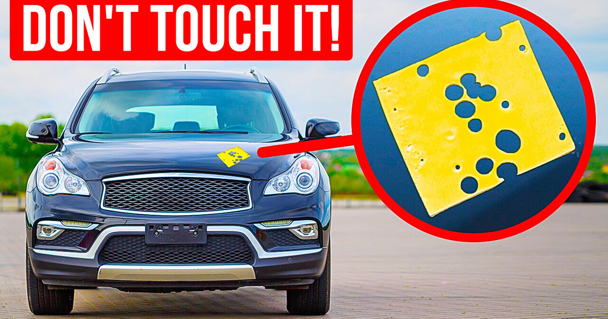 If You See a Slice of Cheese on Your Car, Lock It and Leave If You See a Slice of Cheese on Your Car, Lock It and Leave