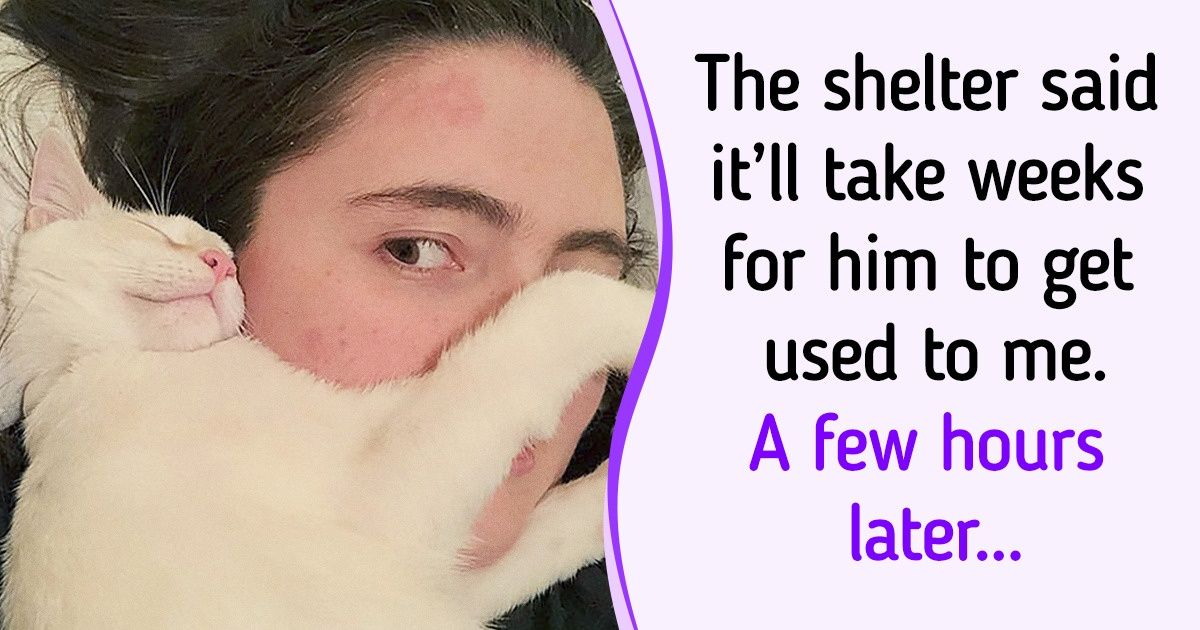23 Pets Who Would Give Their Owners the World If They Could 23 Pets Who Would Give Their Owners the World If They Could