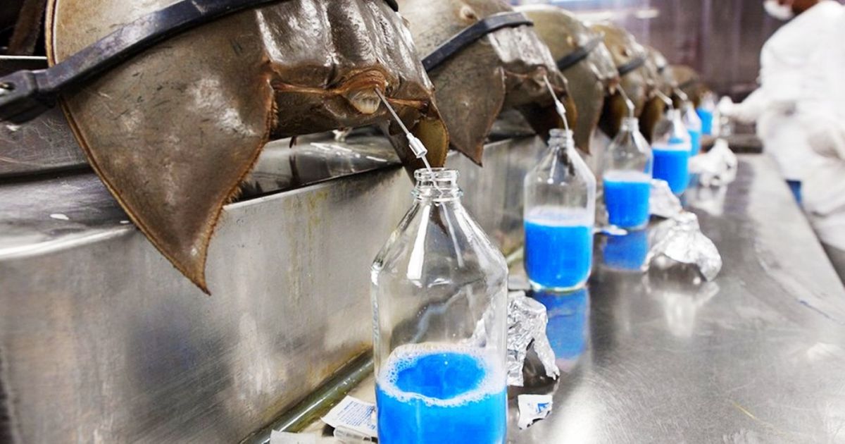 The 14 Most Expensive Liquids on Earth, Some of Which We Even Use The 14 Most Expensive Liquids on Earth, Some of Which We Even Use