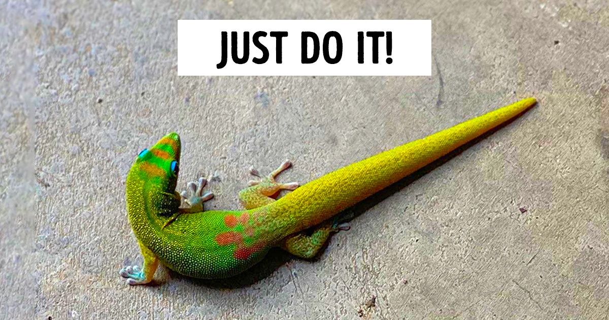 15+ Photographers Whose Timing Skills Are on Fire