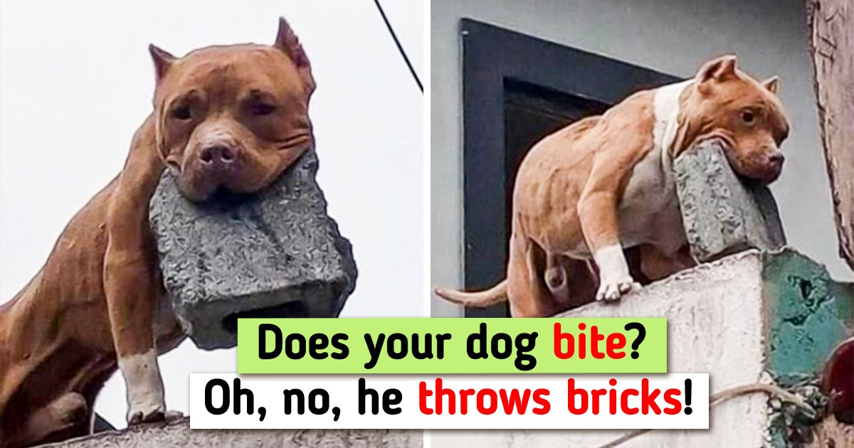 15 Photos That Can Make You Smile on the Darkest Rainy Day