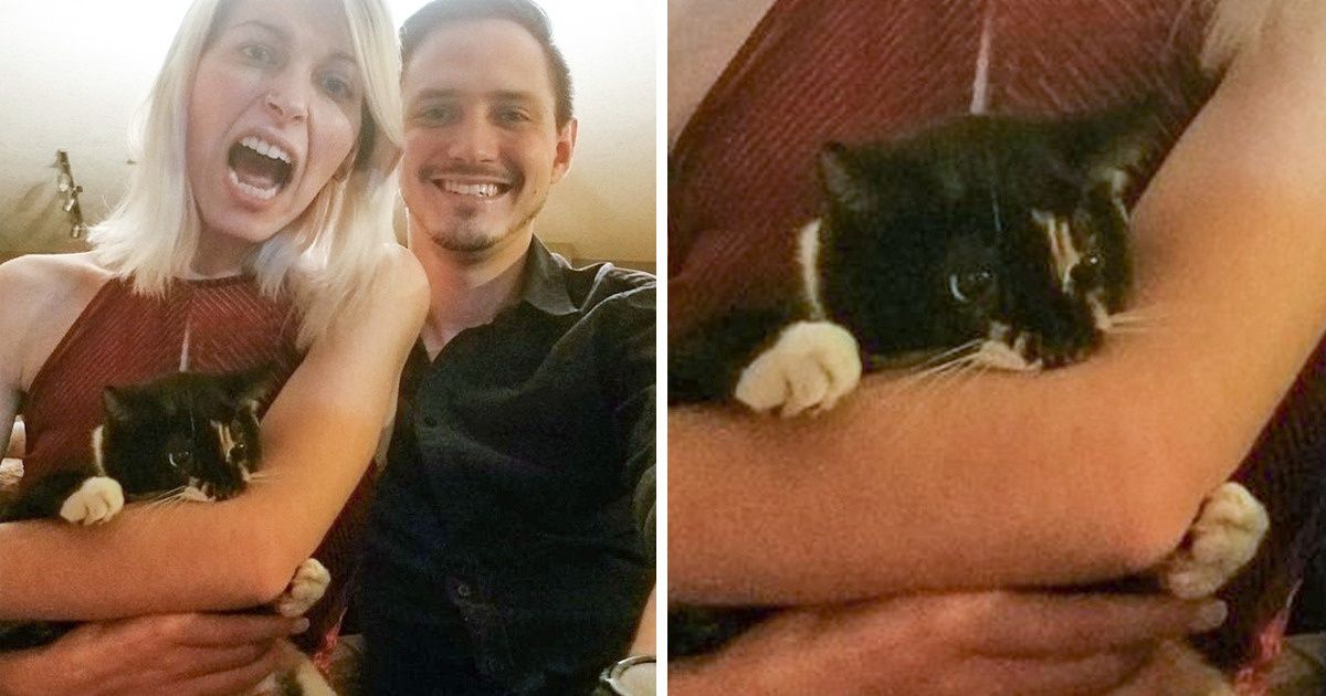 26 People Who Hoped for a Sea of Feline Love but Got an Ocean of Problems