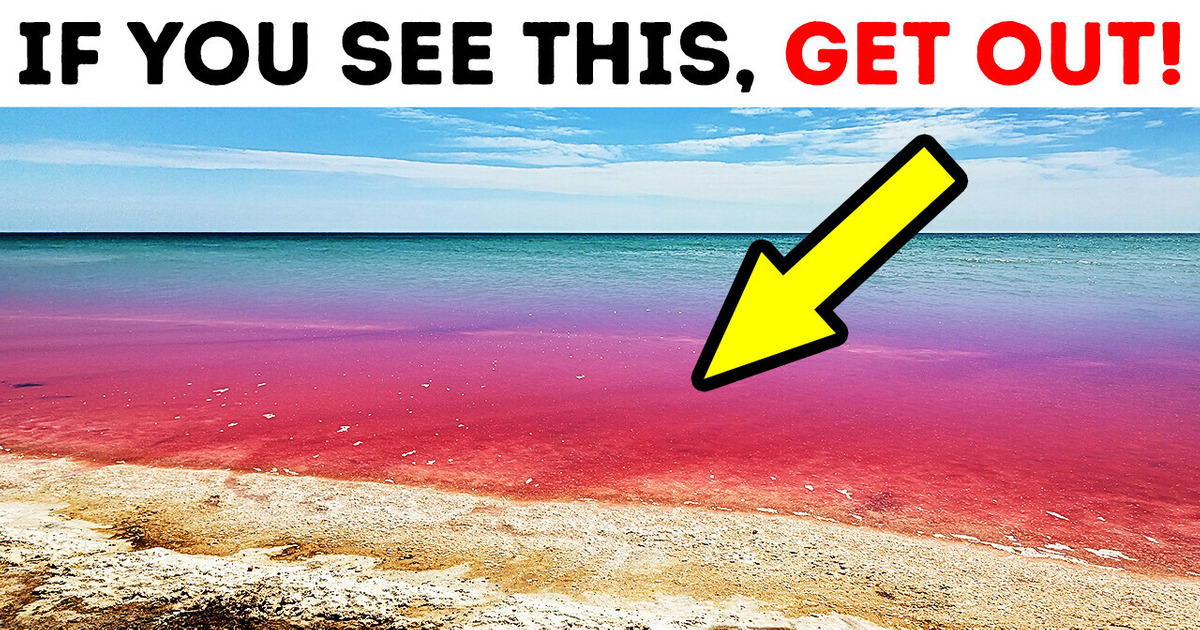 If You See the Ocean Is Red, Don’t Come In! If You See the Ocean Is Red, Don’t Come In!