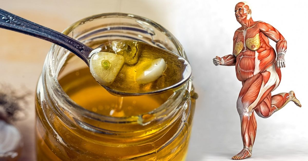 What happens When You Start Eating Honey Every Day