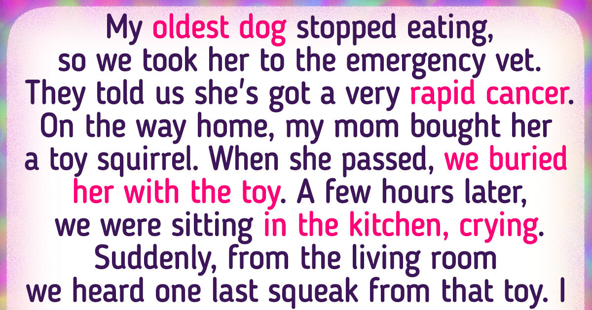 13 People Who Experienced Mysterious Signs From Their Departed Pets