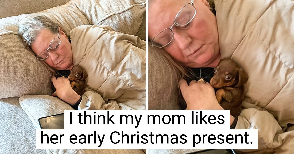 15 Pics Showing That It’s Never Too Early or Too Late to Meet Your Soulmate Human