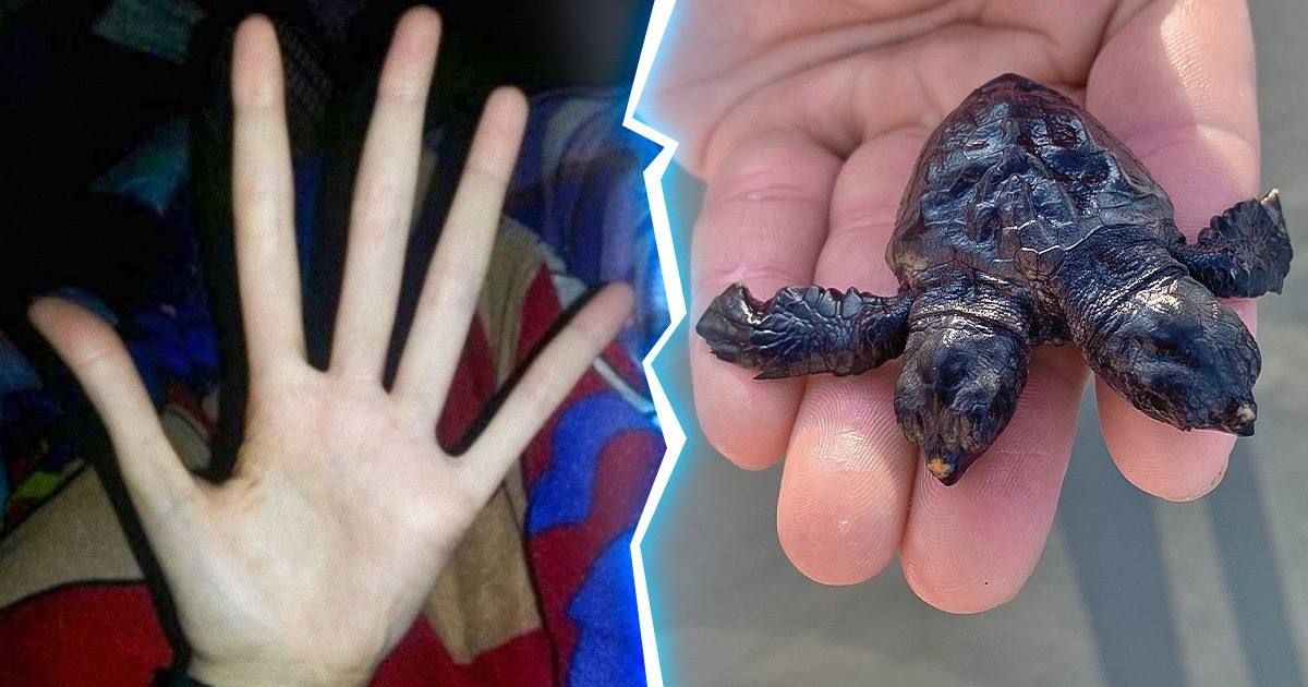 15 People Who Managed to Find Things That Nature Rarely Shows Us