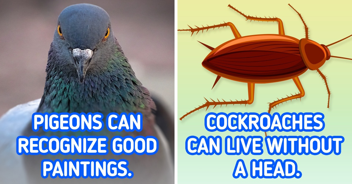 10 Scientific Facts That Are Strangely True