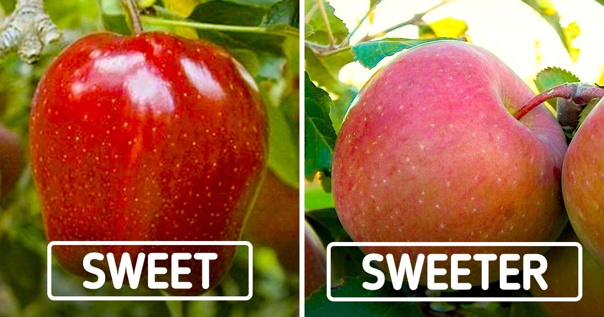 12 Things You’ll Probably Learn for the First Time Ever 12 Things You’ll Probably Learn for the First Time Ever