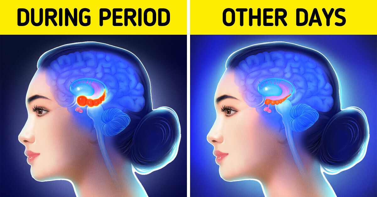 New Research Proves That Being on Your Period Has Some Surprising Benefits You Might Not Have Heard Of New Research Proves That Being on Your Period Has Some Surprising Benefits You Might Not Have Heard Of