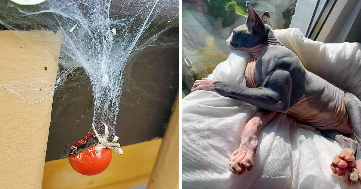 18 Times Nature Knocked Us Down With Its Uniqueness
