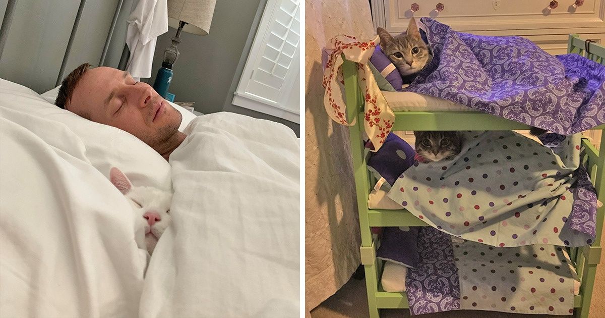15 Heartfelt Pics That Are Just What You Need on a Chilly Day