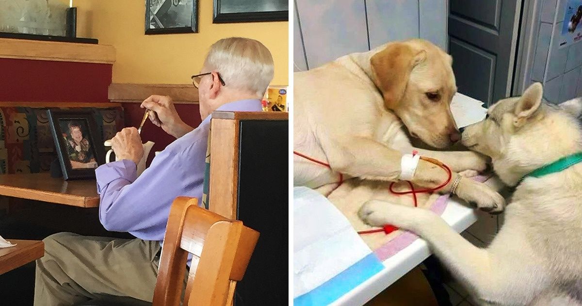 20+ Bittersweet Photos That Are Bringing Us Back to Life 20+ Bittersweet Photos That Are Bringing Us Back to Life