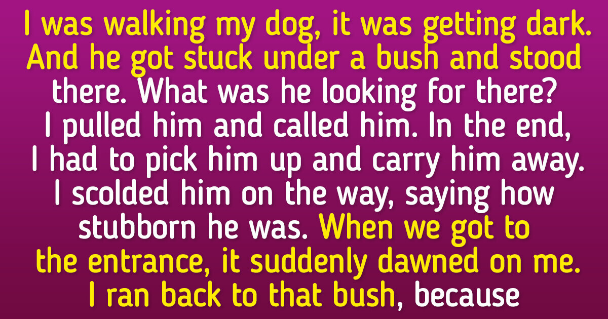 15+ Stories That Prove Pets Are Way Smarter Than We Think