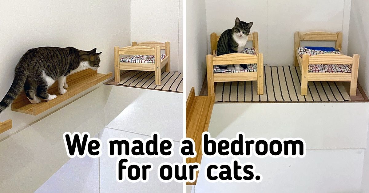 18 People and Pets Whose Love Could Easily Move Mountains