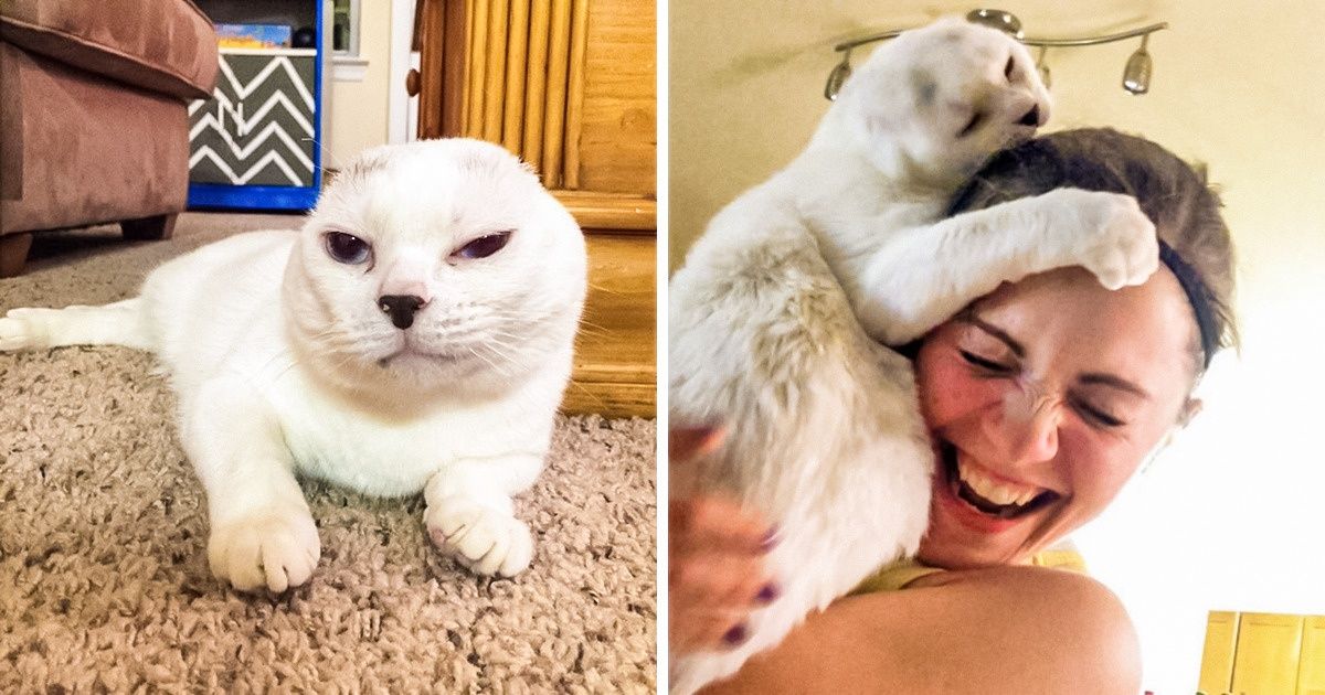 16 Injured Animals Found Loving Homes, and It’s Hard to Look at Them Without Tears of Happiness
