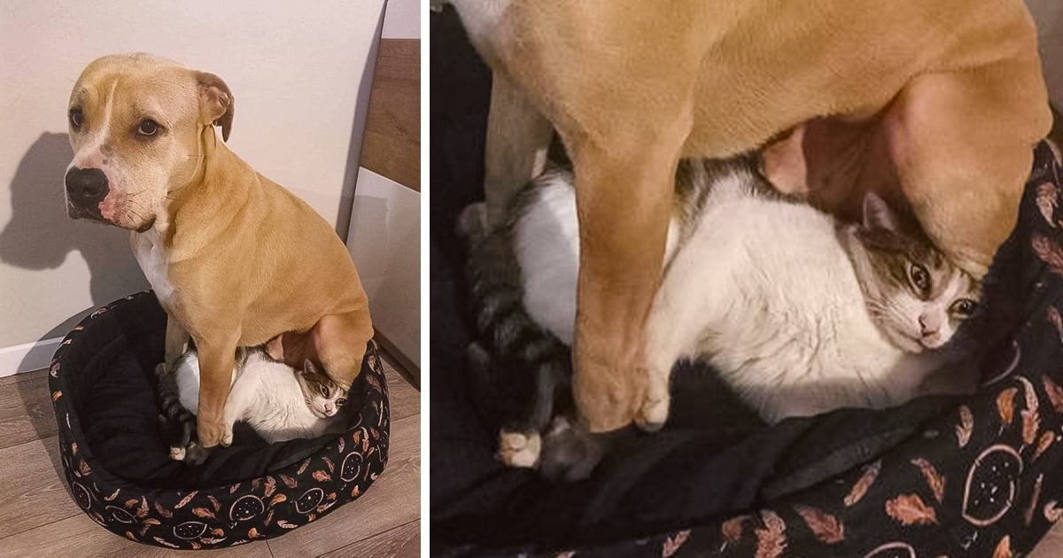 20+ Photos That Are Funnier Than a Joke