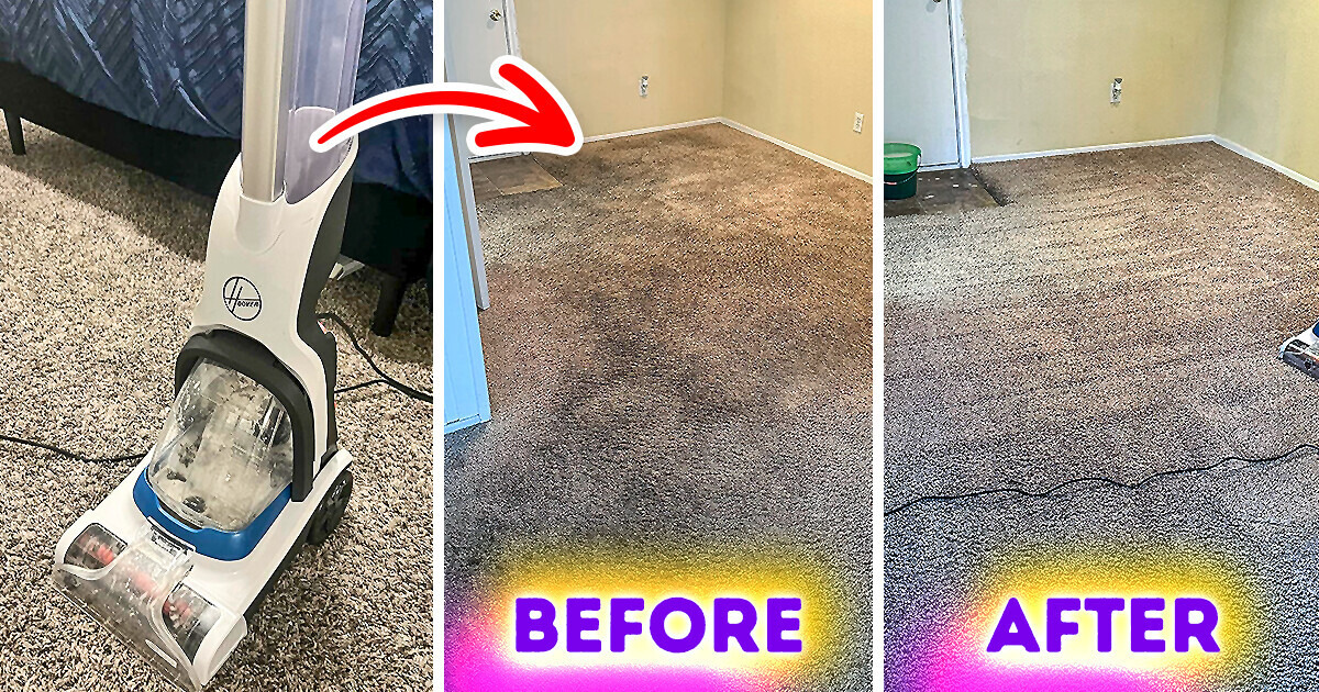 30 practical products that every pet parent should know about