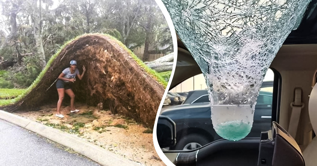 17 Unusual Things That People Spotted While Out and About 17 Unusual Things That People Spotted While Out and About