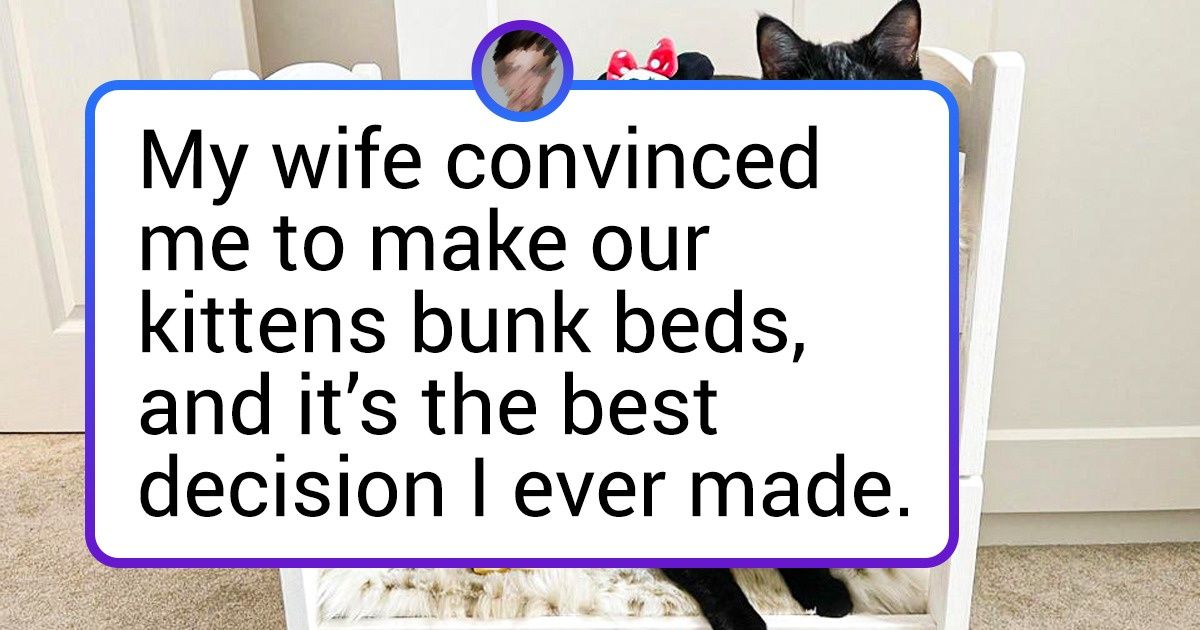 15+ Loving Humans Who Have No Limits When Spoiling Their Pets 15+ Loving Humans Who Have No Limits When Spoiling Their Pets