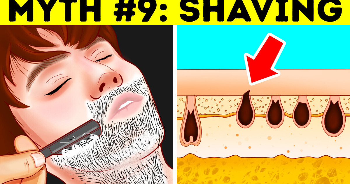 14 Facts You Heard Growing Up but Which Are Myths 14 Facts You Heard Growing Up but Which Are Myths