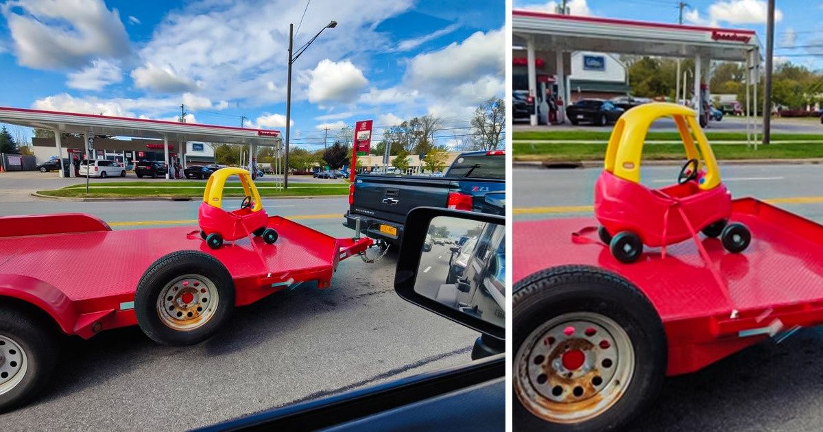 15 Pictures That Left Us Scratching Our Heads for Hours