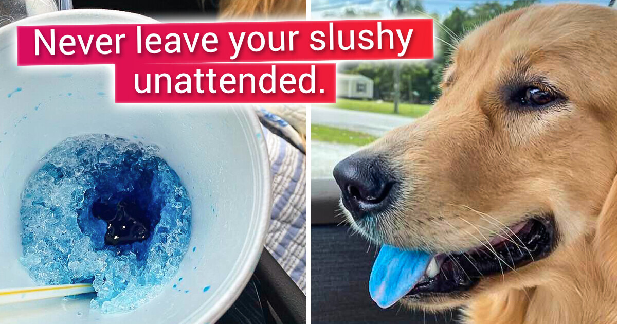 10+ Moments When the Universe Decided to Play a Trick on Us